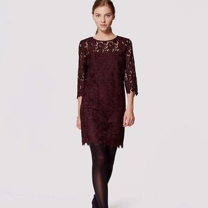 Ann Taylor Loft Burgundy Lace Dress